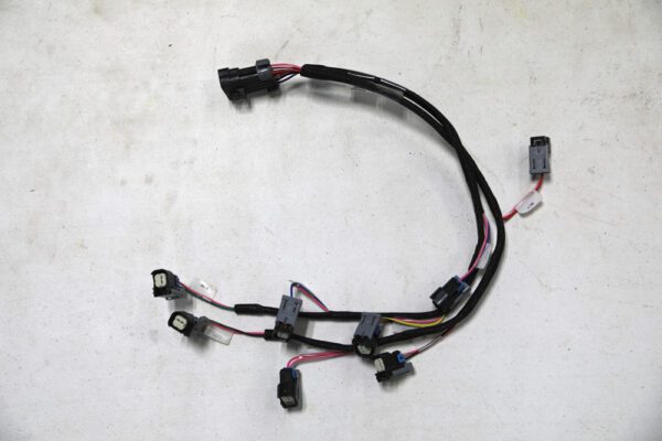 Stand Alone EFI Kit